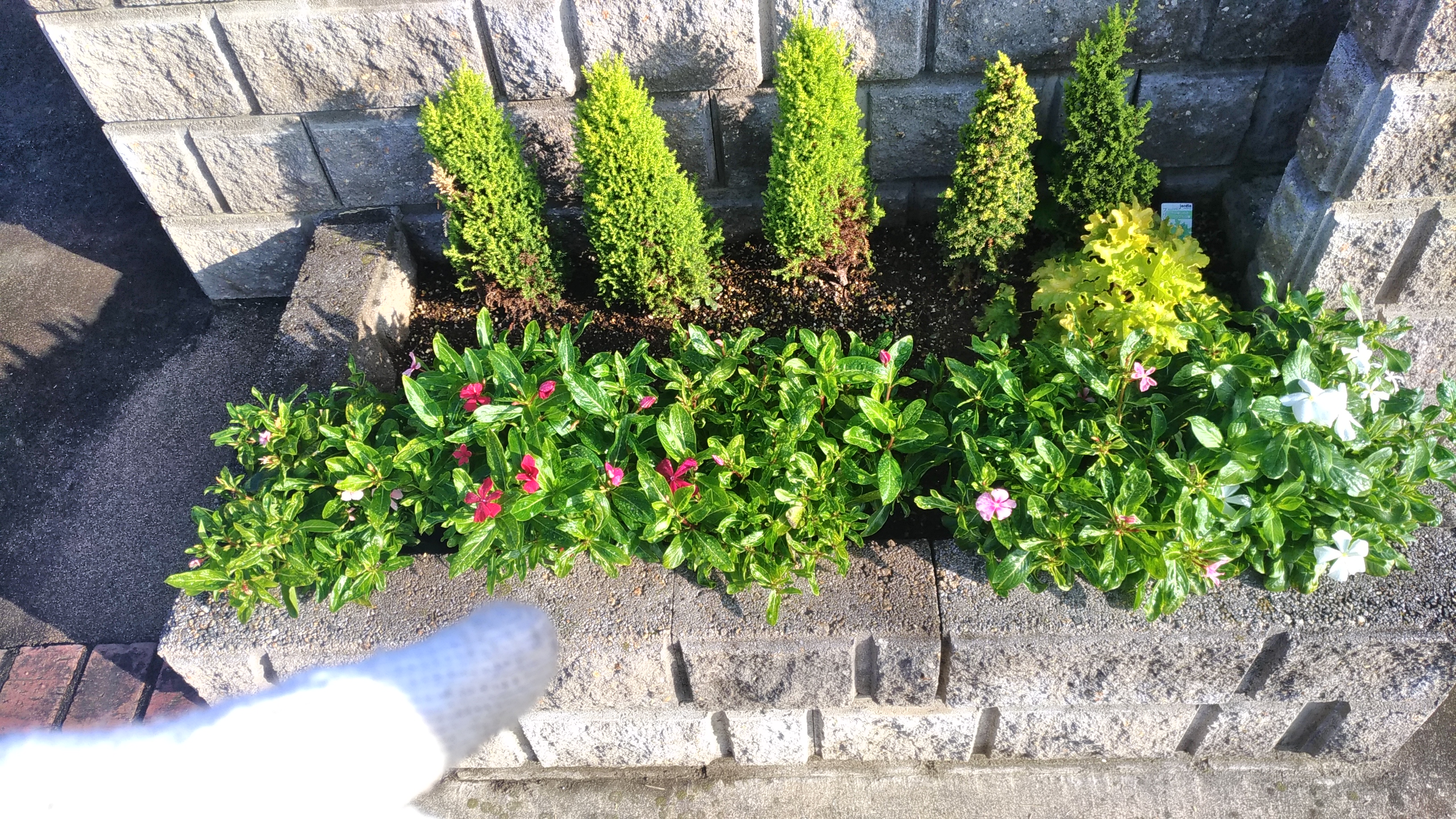 写真でわかる花壇の土をふかふかに再生する方法????✨ | 芝生パラダイス